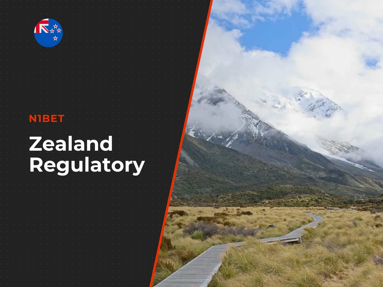 8.4. The New Zealand regulatory picture