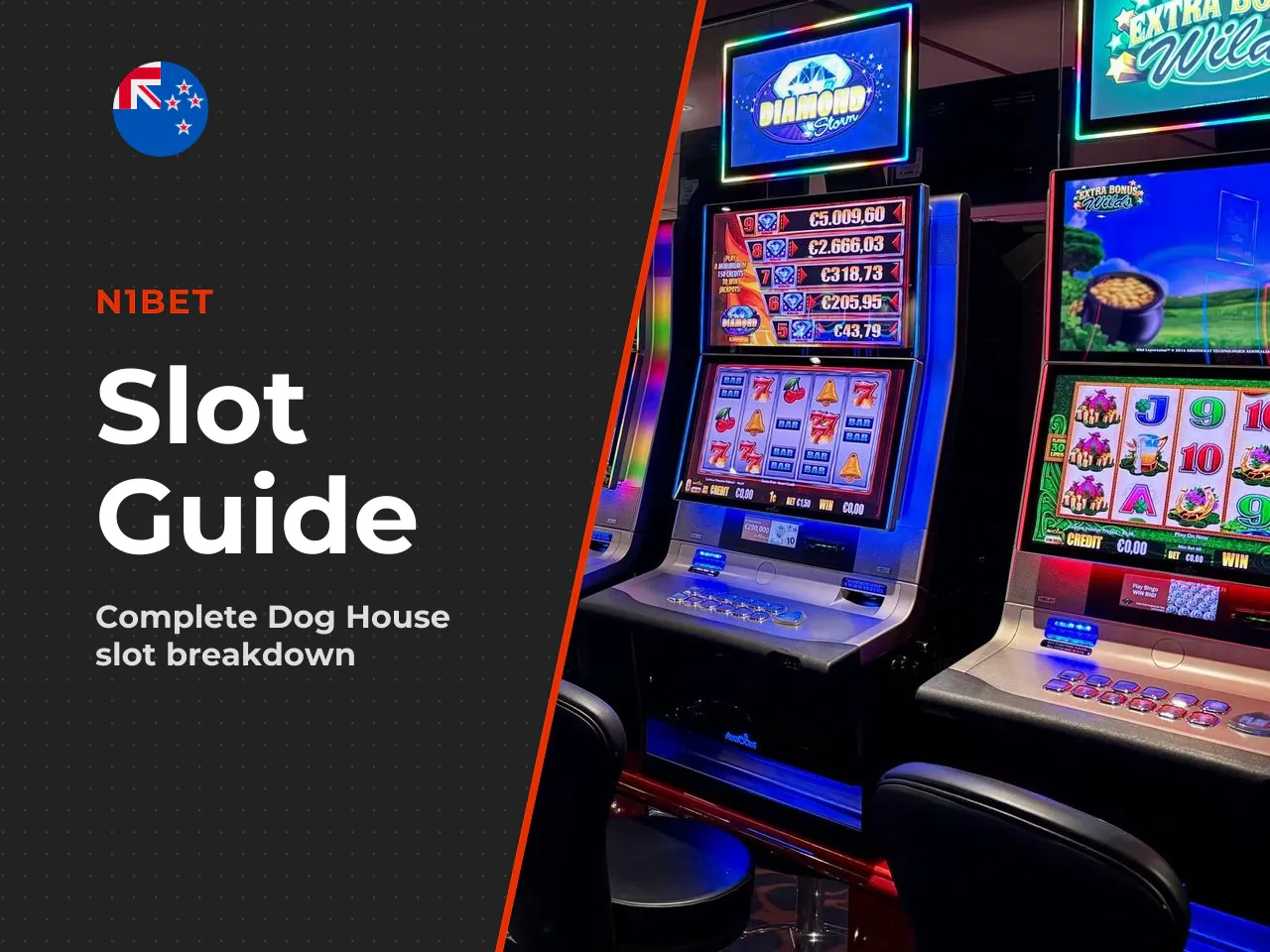 2. What Is The Dog House